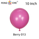 Berry 013 - 10 Inch Balloons-1