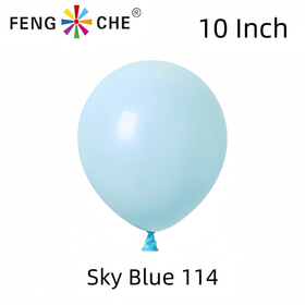 Sky Blue 114 - 10 Inch Balloons