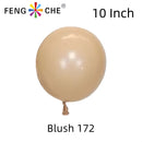 Blush 172 - 10 Inch Balloons-1