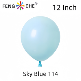 Sky Blue 114 - 12 Inch Balloons