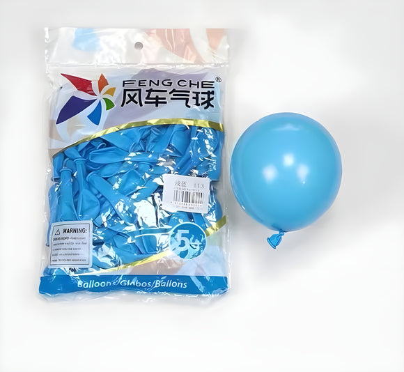 Light Blue 113 - 5 Inch Balloons