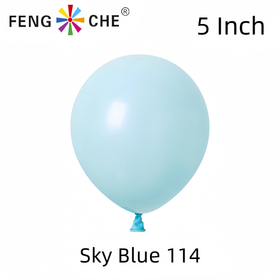 Sky Blue 114 - 5 Inch Balloons